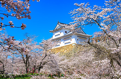 津山城跡・鶴山公園